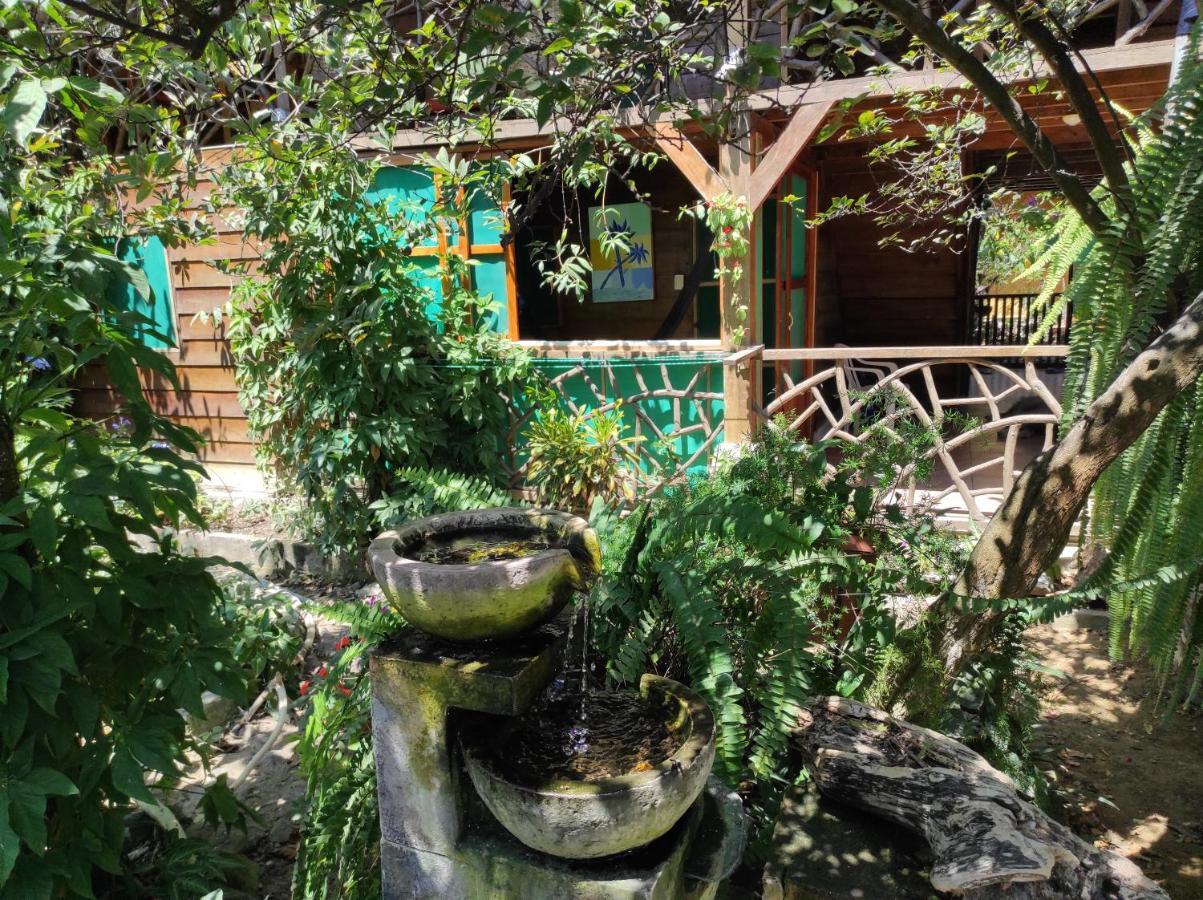 Wasimita Hotel Крусита Стая снимка